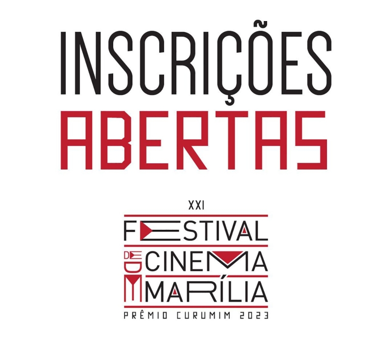 Cinema de novembro